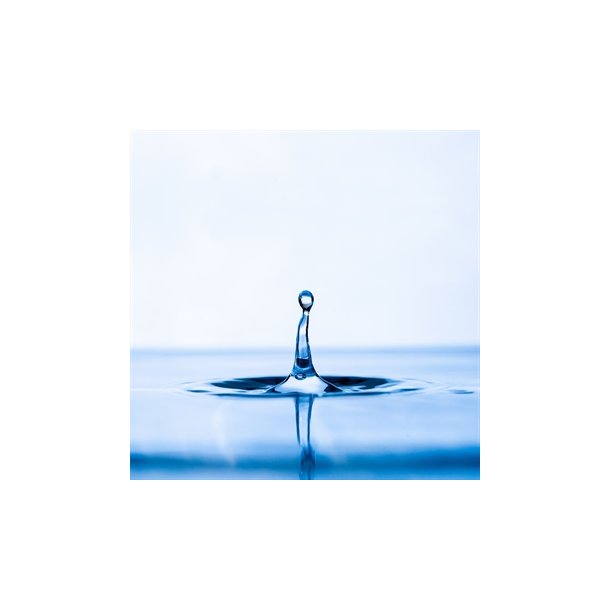 LOCOTIN - Ren PG - 1000ML