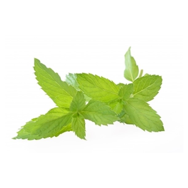 Peppermint Aroma